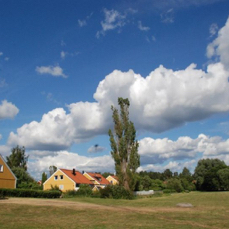 sodra.jpg
